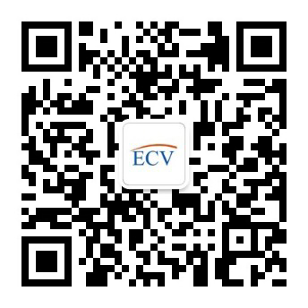 ECV Consulting